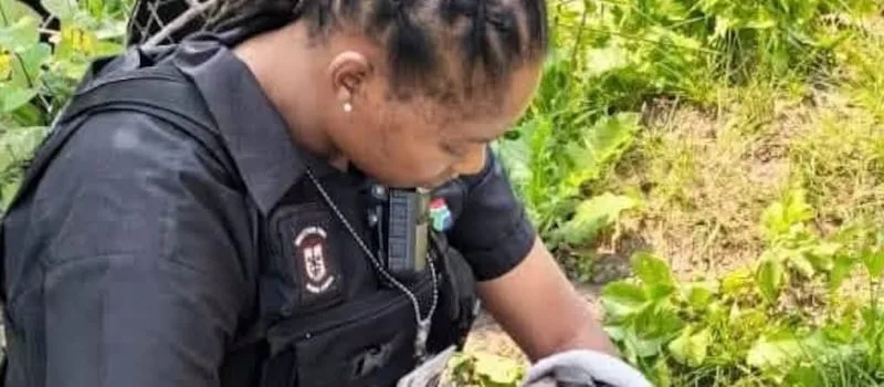 Newborn found alive in shopping bag in KwaZulu-Natal