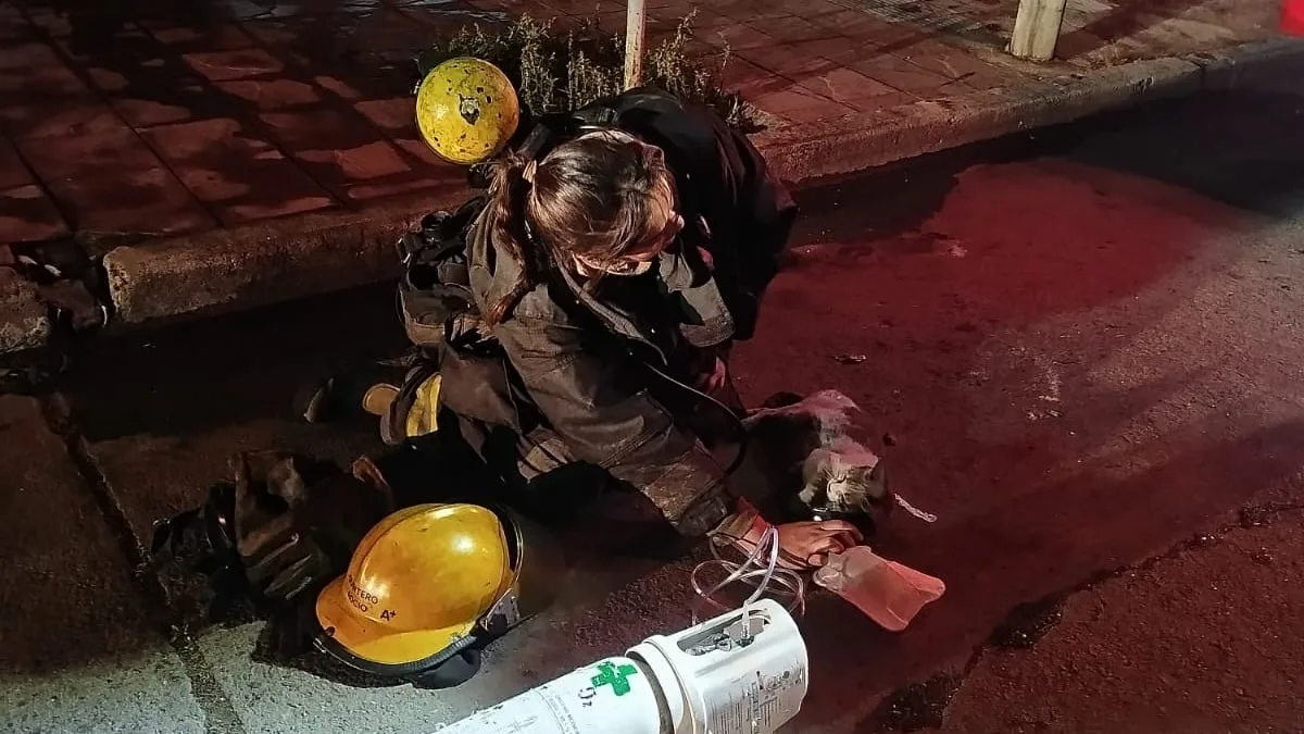 Se incendió una casa en Córdoba: los bomberos auxiliaron a una mujer, a su hijo y rescataron a un gato del fuego