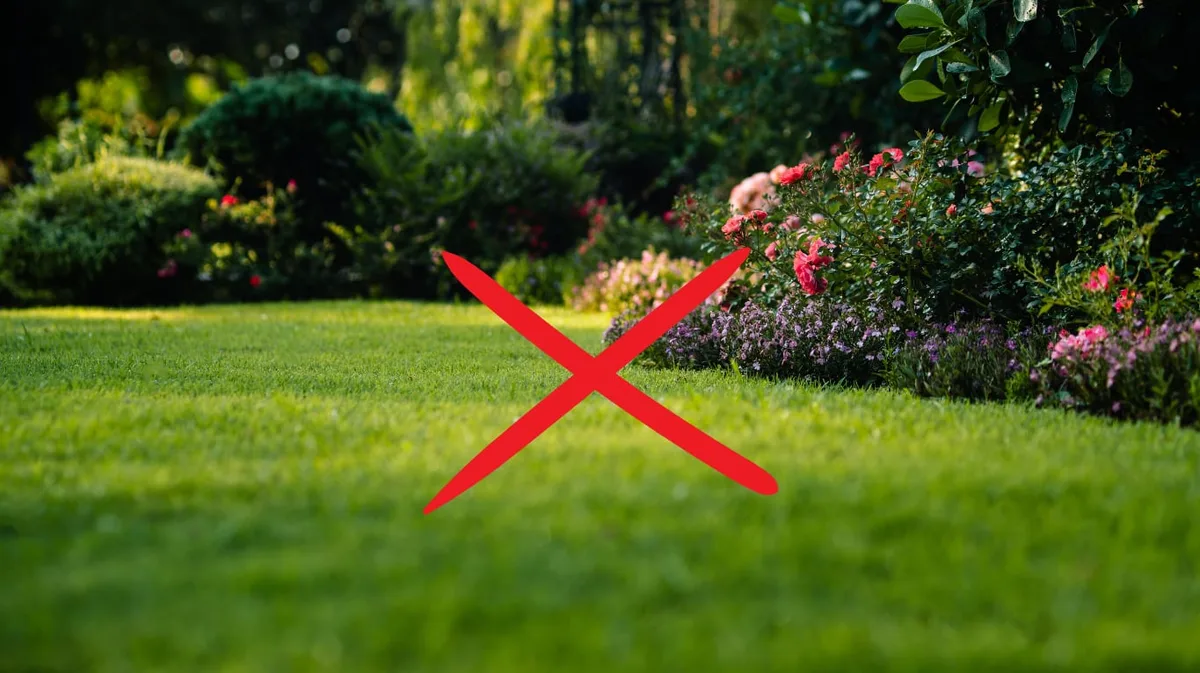 Fin del reinado del césped tradicional en el patio: la nueva tendencia del 2027 para tener un jardín verde con menos mantenimiento