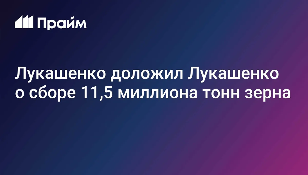 Лукашенко доложил Лукашенко о сборе 11,5 миллиона тонн зерна
