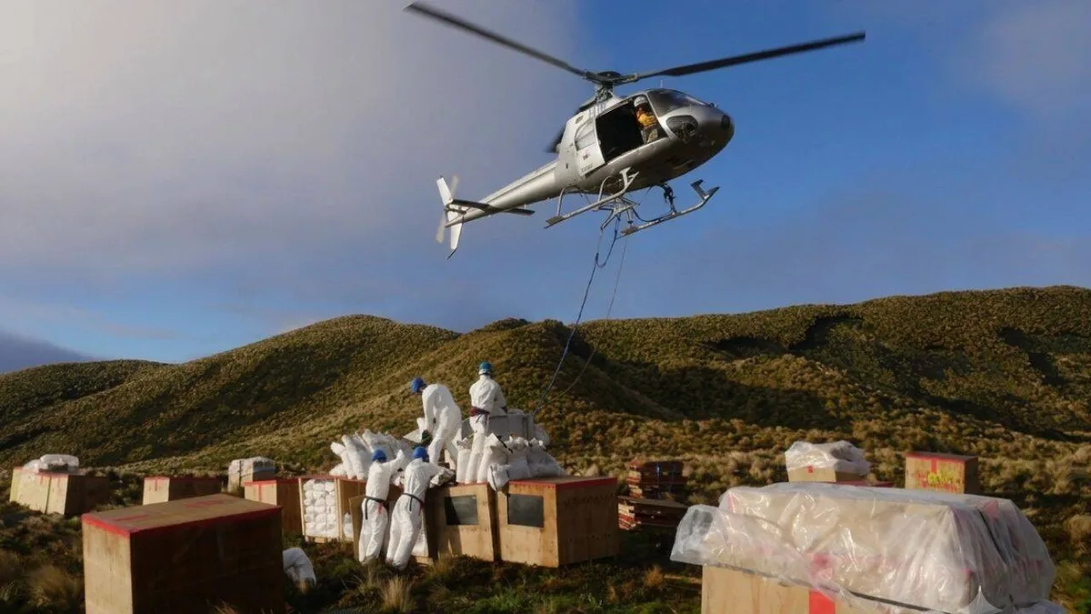New Zealand removed 200,000 mice from an island; native bird populations more than doubled
