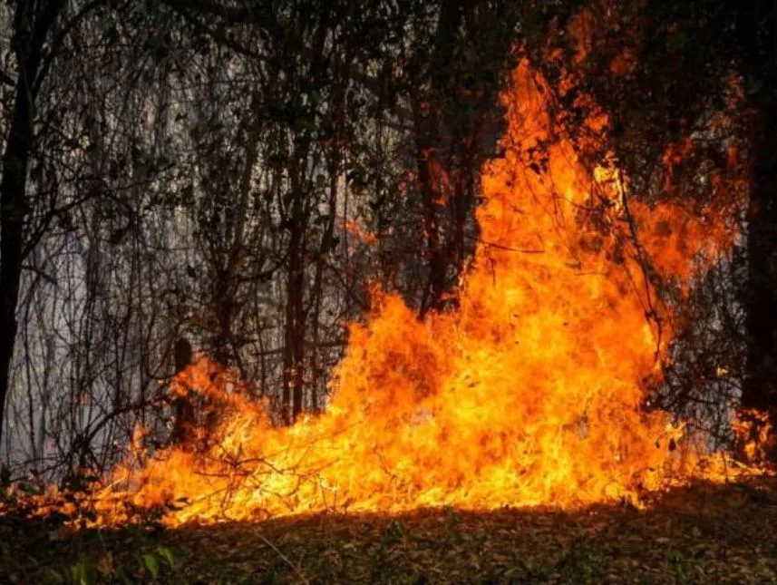 Colombia combate 39 incendios forestales