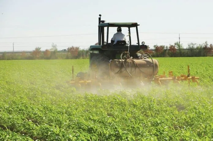 Fedeagro señala que solo se cultiva el 20% de las tierras aptas del país por falta de financiamiento
