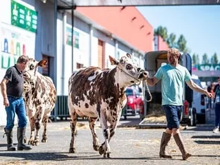 Alors que le Space ouvre à Rennes, le monde de l’élevage durement touché par un été éprouvant