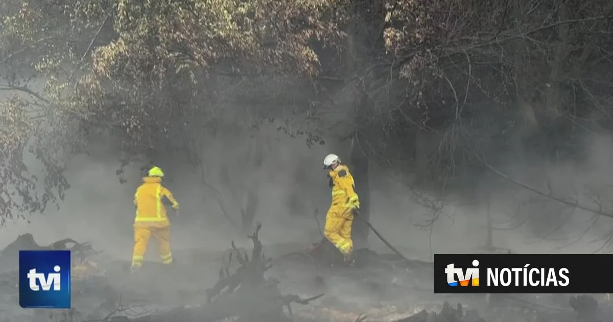 Chuva dá alívio a bombeiros e ajuda a apagar pior incêndio florestal de sempre na Bélgica
