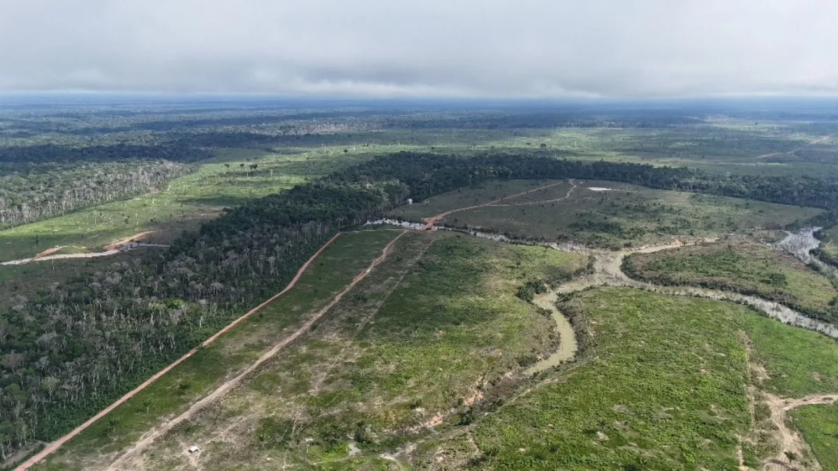 Amazonas reduz desmatamento em 31%, mas continua entre os três estados que mais devastam a Amazônia
