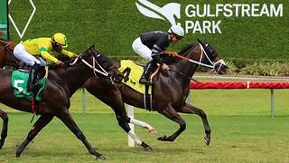 Samy Camacho por la corona: El látigo venezolano busca el campeonato en el cierre del Royal Palm Meet
