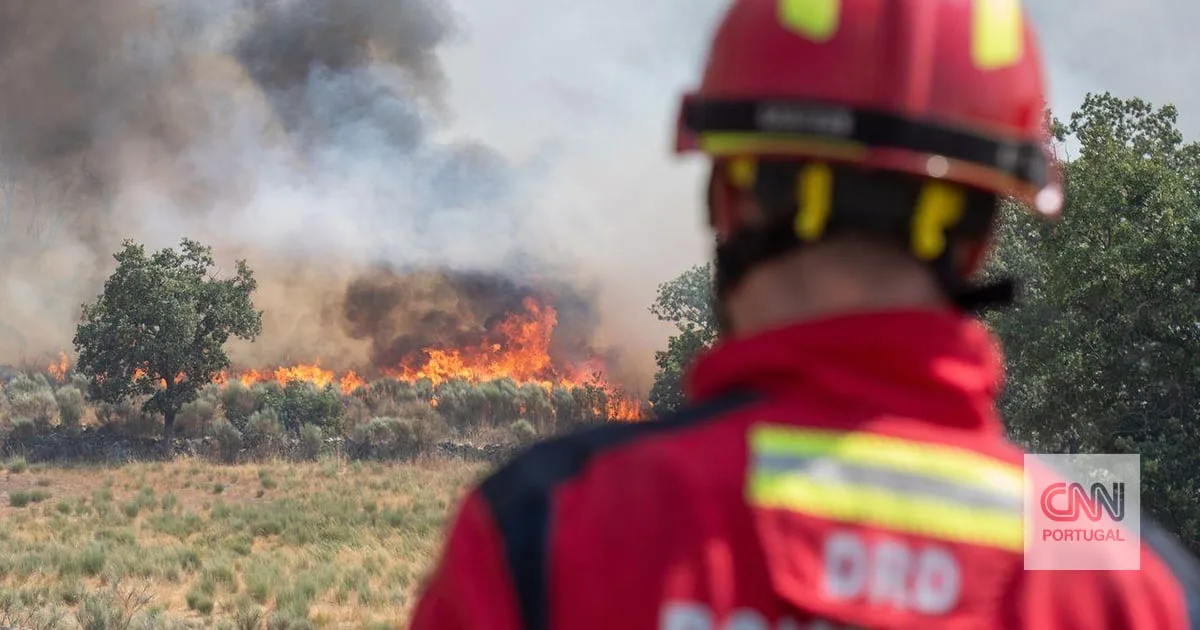 Adolescente de 14 anos suspeito de atear dois fogos em Seia