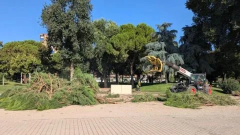 Denuncian una nueva tala de árboles en el pulmón verde de Talavera bajo el Gobierno de PP y Vox