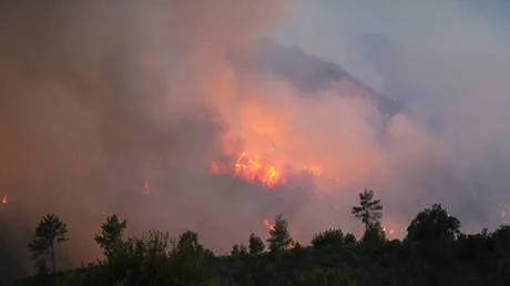 Hundreds evacuated amid massive fires in Antalya, Türkiye (VIDEOS)