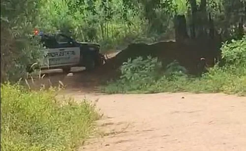 Denuncian incursión de agentes chiapanecos de la Fuerza de Reacción Inmediata Pakal a Oaxaca; intimidaron a comuneros, aseguran testigos