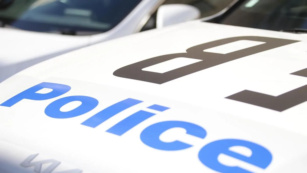 Sydney high school plunged into lockdown after teen stabbed
