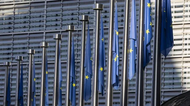 Portugal auditado por Bruxelas sobre saúde animal e proteção de plantas