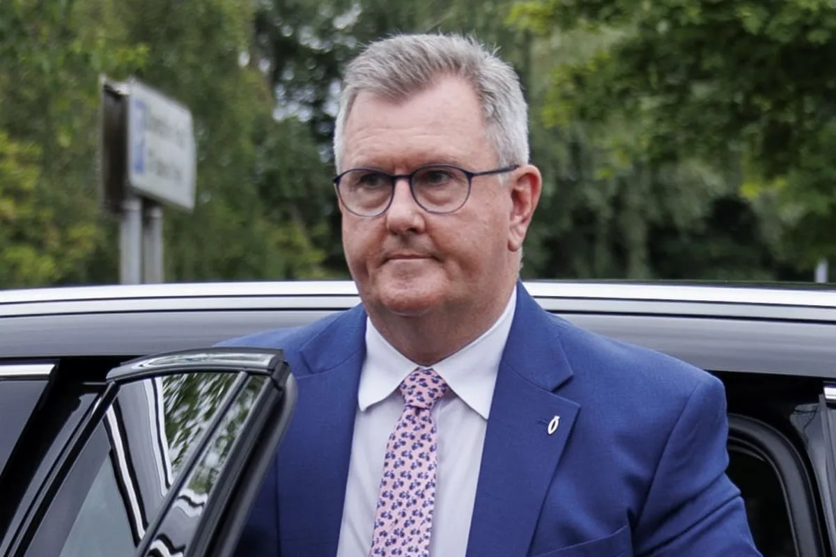 Donaldson’s ‘vile actions’ will not define DUP values, Robinson says