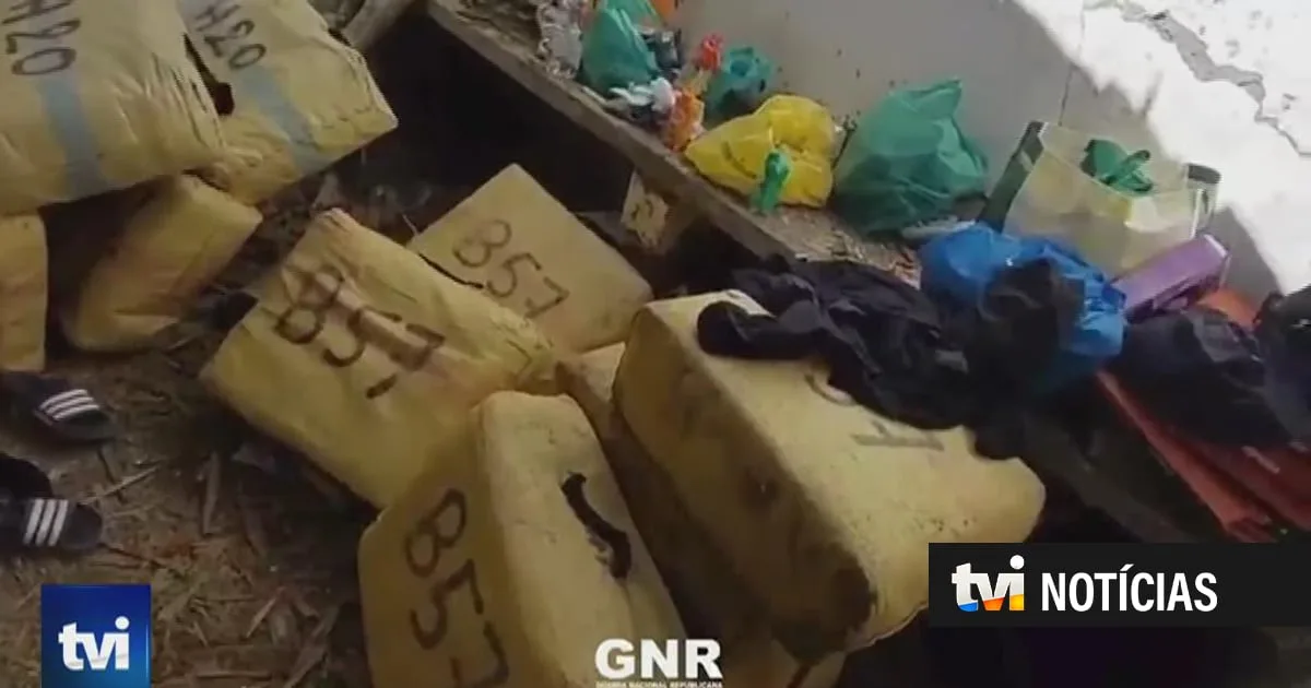GNR apreende mais de cinco toneladas de haxixe junto ao rio Guadiana. Há sete detidos