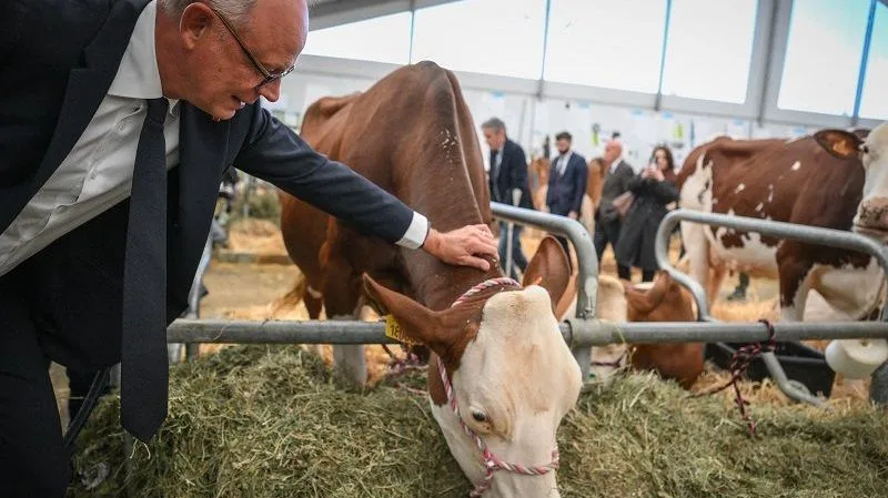 Édouard Philippe accuse Marine Le Pen de proposer des "mesures extrêmement dangereuses" pour les agriculteurs