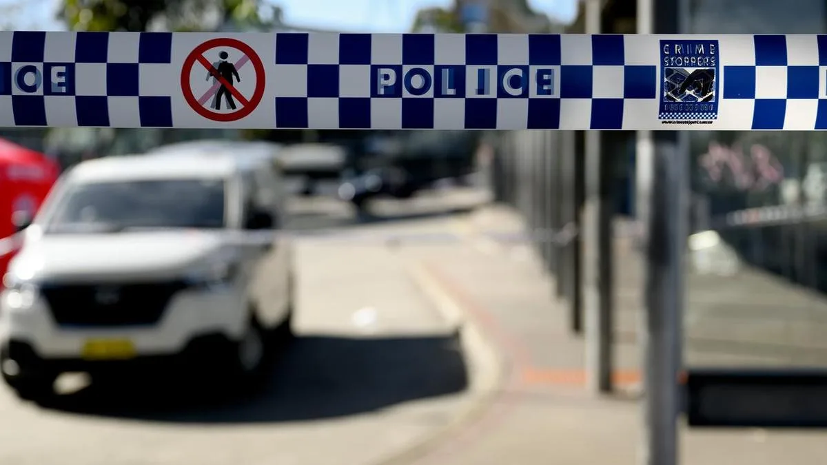 Teen boys charged over fatal suburban stabbing
