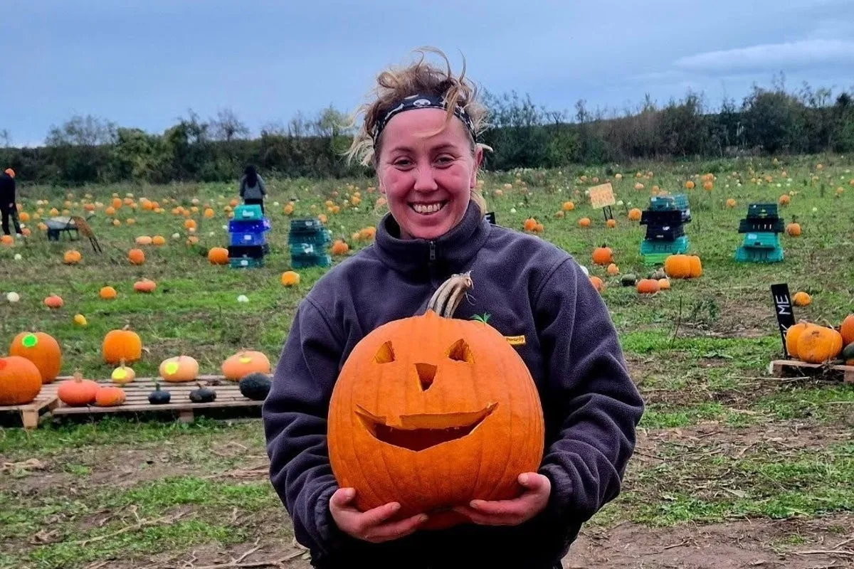 How heatwave put pay to Instagram’s favourite autumn trend: ‘I usually grow 10,000 pumpkins, this year we got 25’