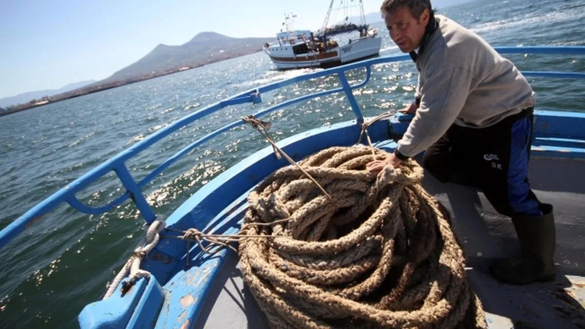 Trazabilidad de la pesca: piden garantizar un sistema que prestigie la producción local