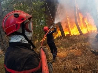 Qu’est-ce que FireWatch, la plateforme utilisée par la Sécurité civile pour détecter les feux de forêt ?