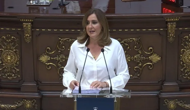 El Ayuntamiento de Valencia pagará los abogados a los vecinos que denuncien pisos turísticos