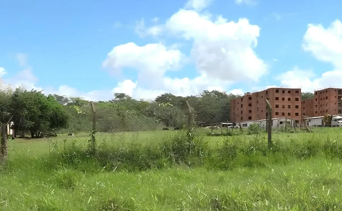 Cachorro encontra feto de 6 meses em decomposição na marginal da Perimetral Leste em Foz do Iguaçu