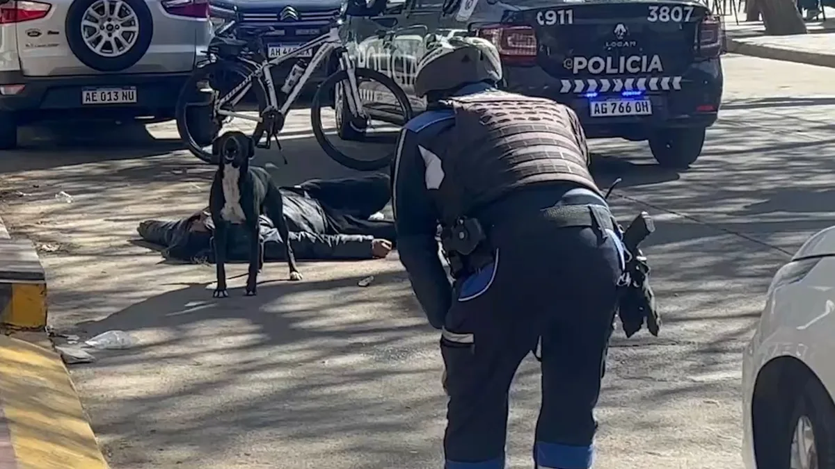 Video: un hombre quedó tendido en el suelo y no lo pudieron asistir porque su perro no dejó que nadie se acerque
