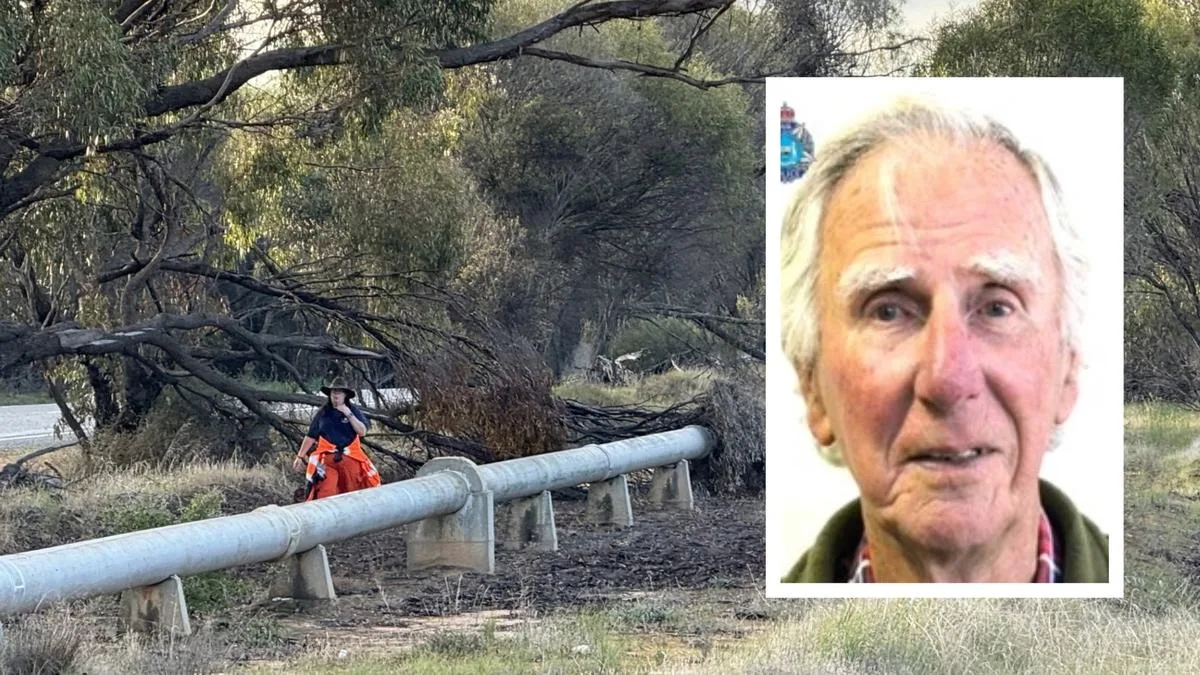 James Ballantyne: Search for missing 87-year-old man with dementia in Wagin enters third day