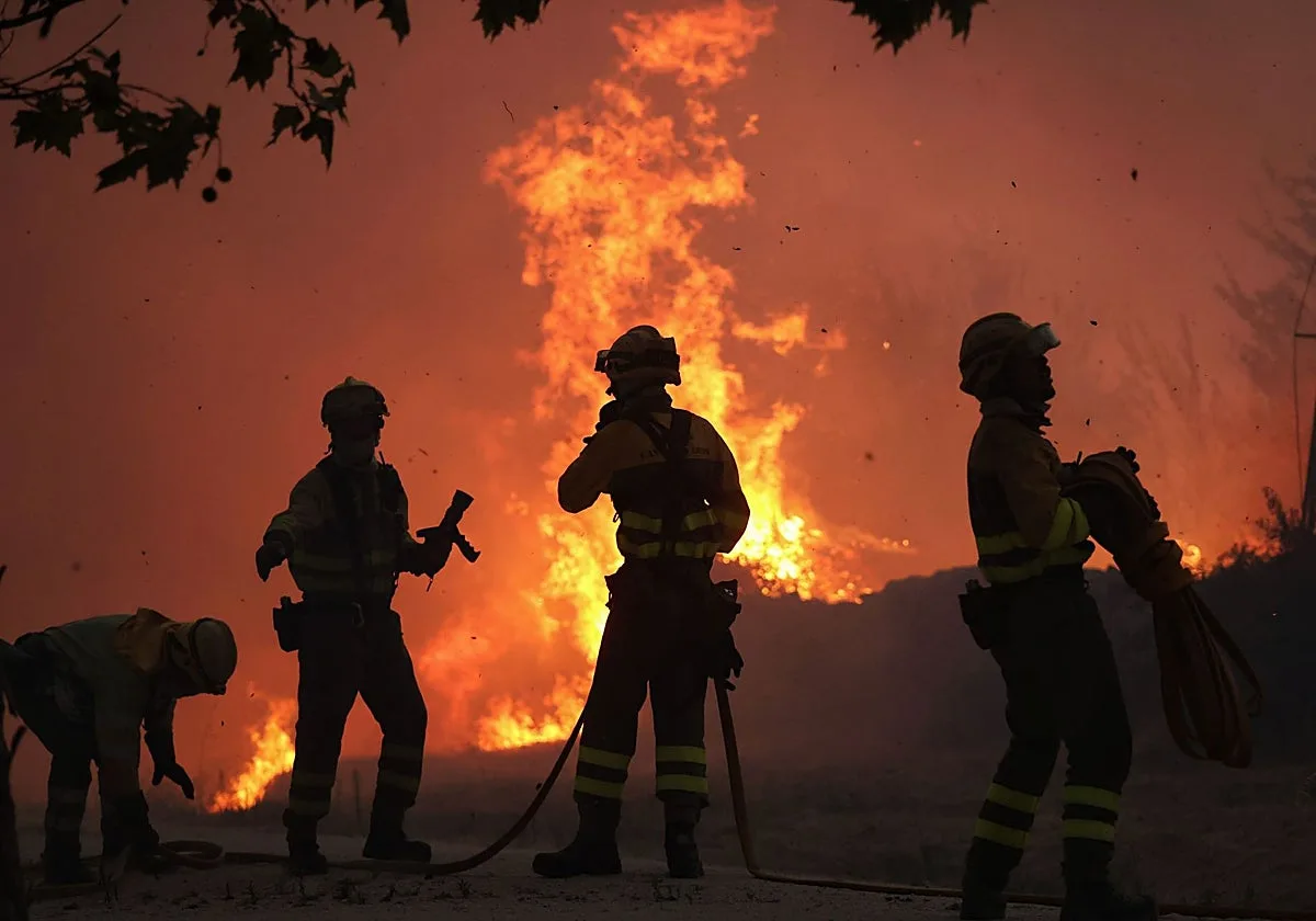 Emergencias del Colegio de Psicología de CyL atiende a cerca de 3.000 personas afectadas por los incendios del verano