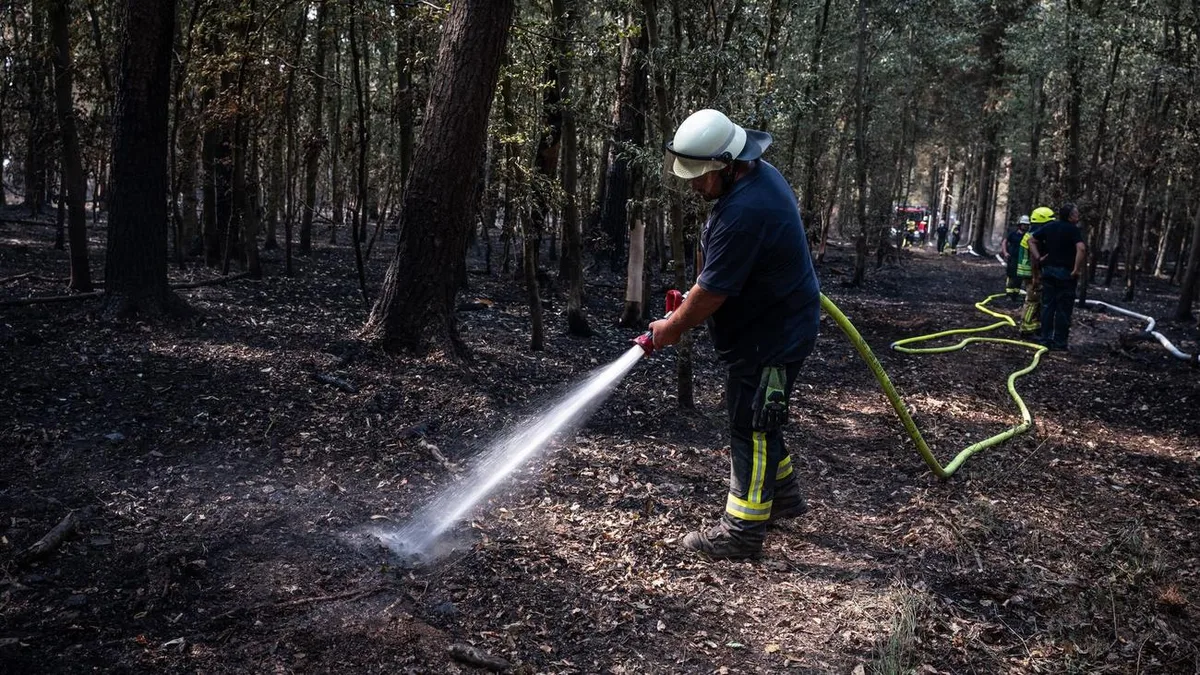 Waldbrände: Waldbrand im Hürtgenwald: Lage hat sich weiter entspannt