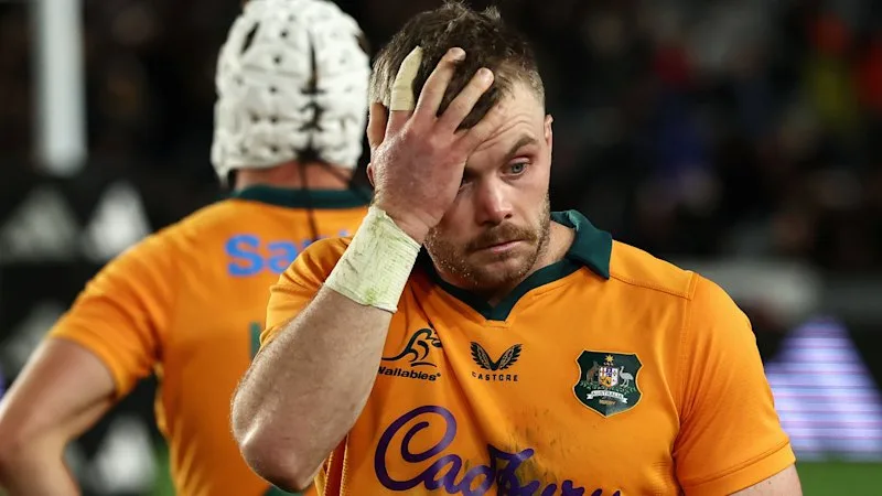 Will the Wallabies win the Bledisloe Cup again?