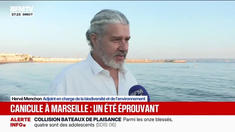 "Il y aura des impact": Hervé Menchon, adjoint en charge de la biodiversité de la ville de Marseille, détaille les conséquences du réchauffement des fonds marins