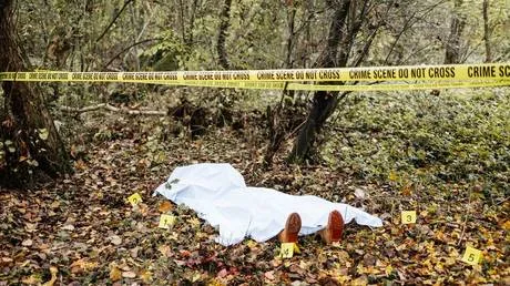 Serial killer could be on the loose in US state – police