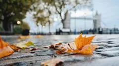 Frost, wind and rain forecast as autumn warmth fades for many