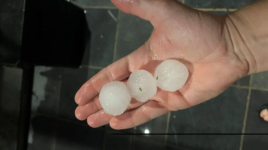 VIDÉOS - En pleine période de vendanges, des averses de grêle frappent le nord de Perpignan