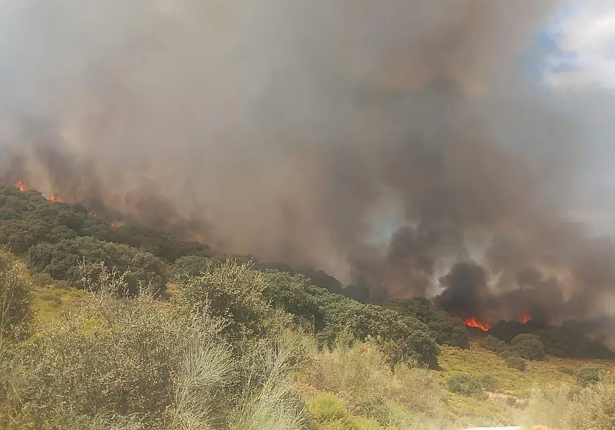 El Infoca da por controlado el incendio en Luque