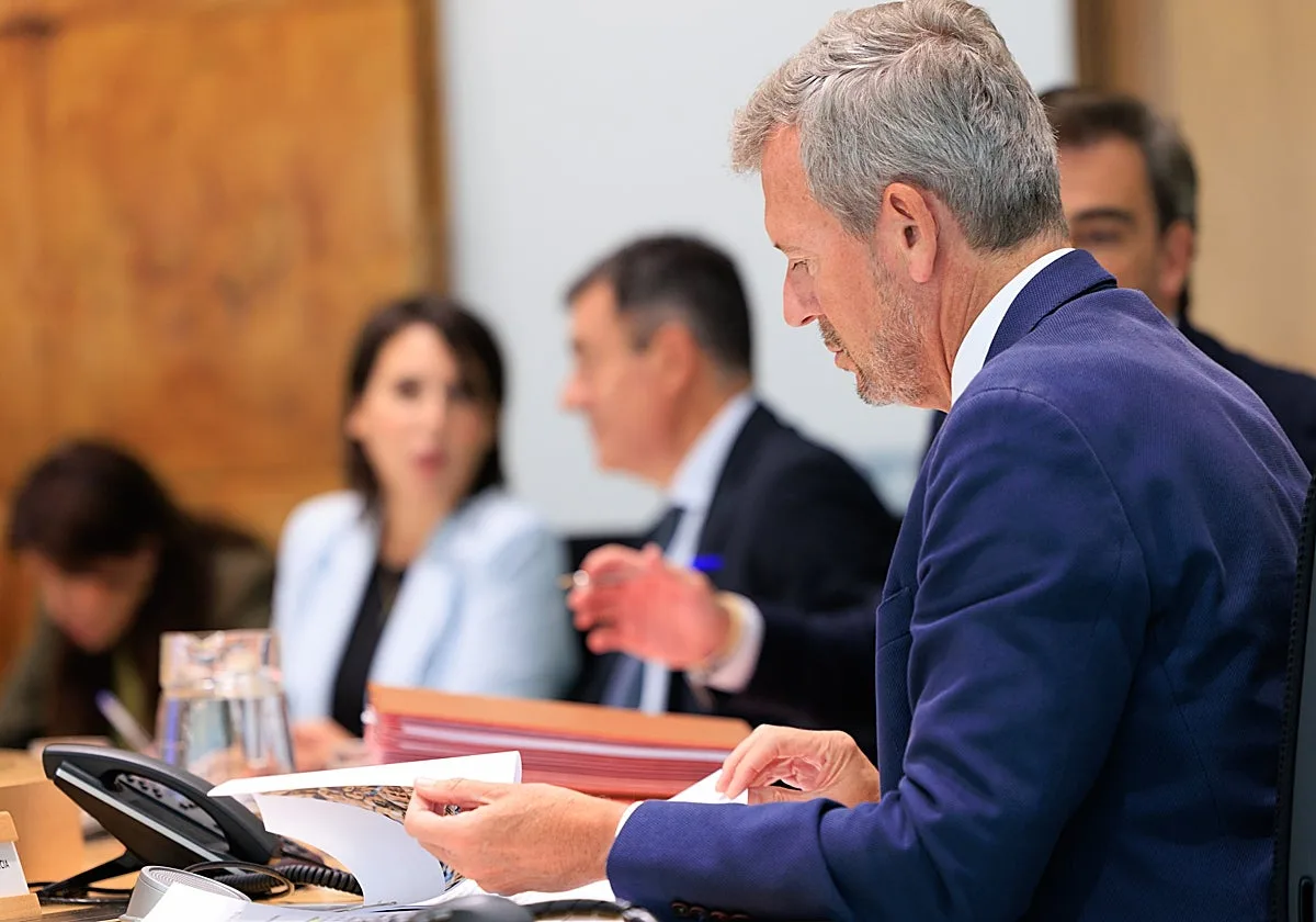 Galicia reclamará más de 150 millones en los tribunales al 'cártel de los pañales'