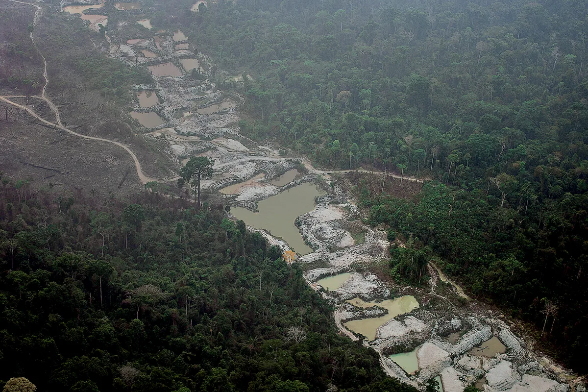 MPF investiga venda de mercúrio a garimpeiros da Amazônia por meio do TikTok