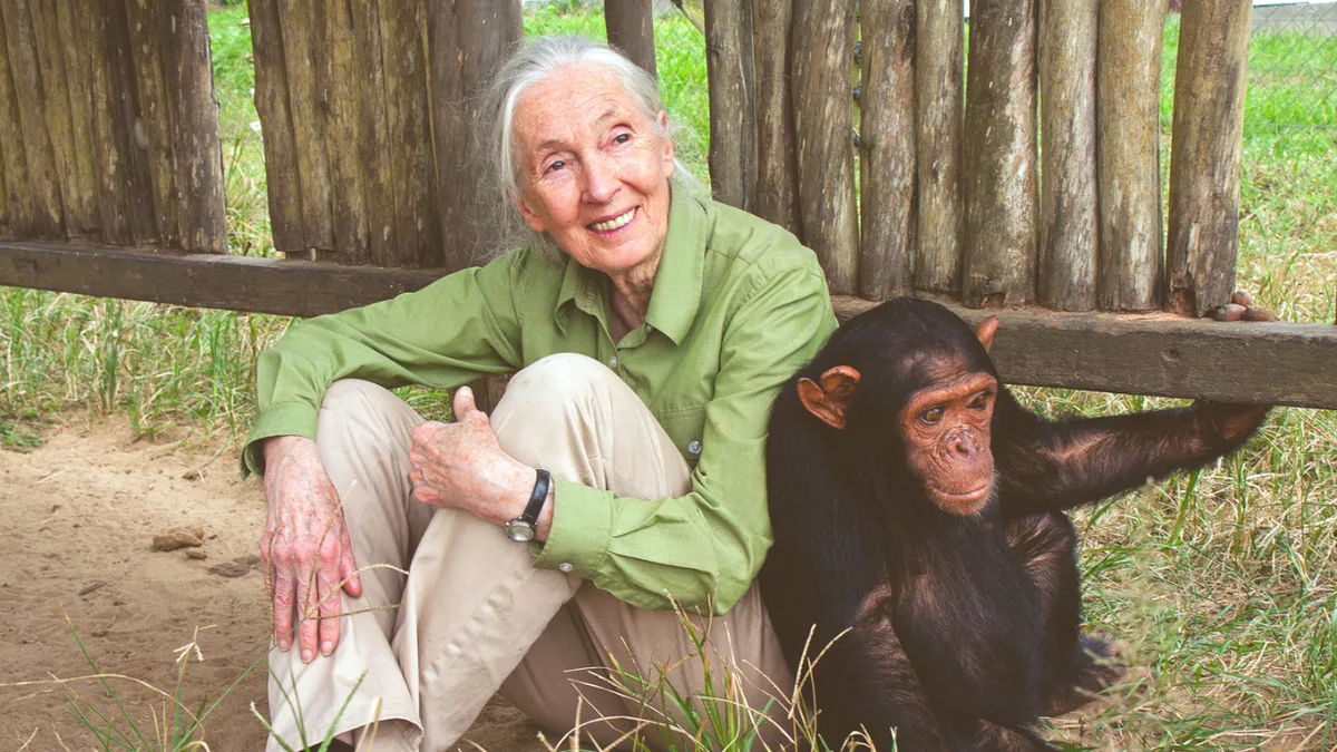 Quote of the day by Jane Goodall: "Every individual matters. Every individual has a..."