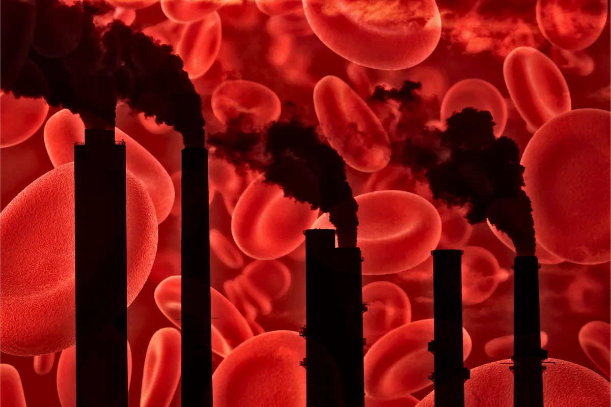 How Climate Change Is Messing With Your Blood
