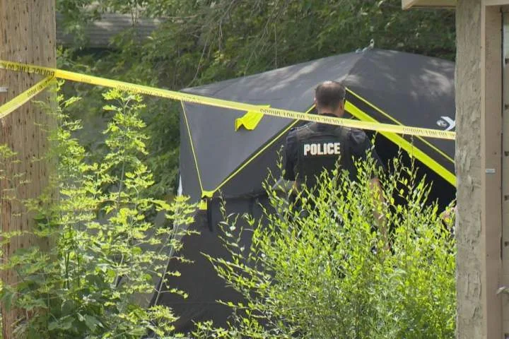No charges for Regina officer who fatally shot homicide suspect: watchdog