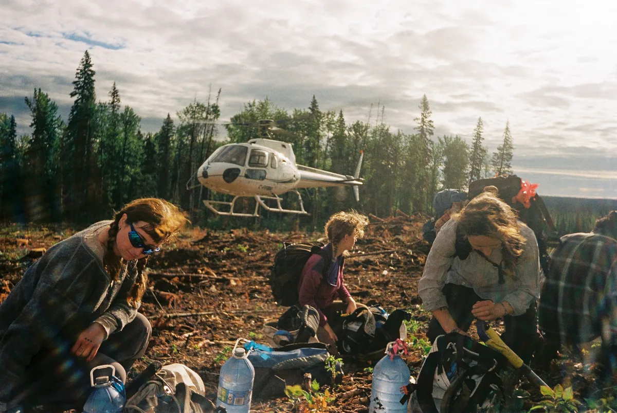 Tree planters cultivate community deep in Northern Alberta