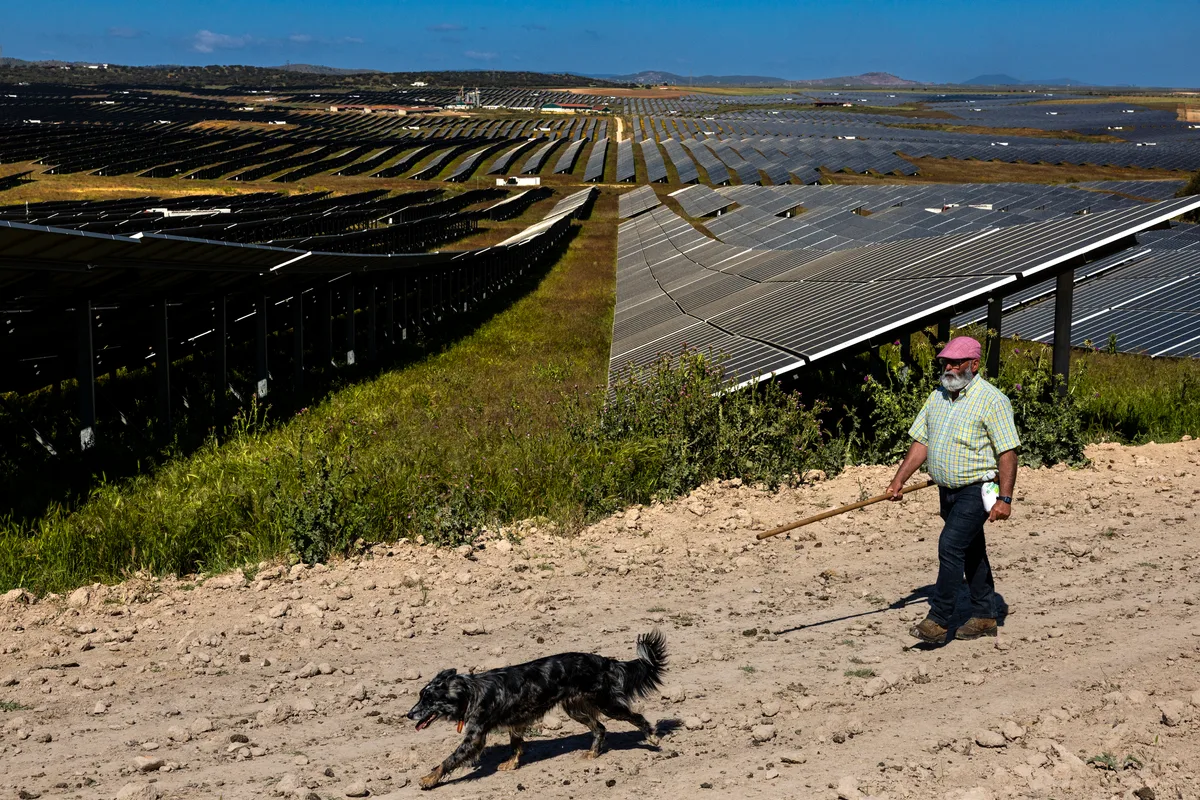 La fotovoltaica lanza un SOS a Moncloa y pide un plan millonario de créditos avaladados por el Estado para evitar el colapso