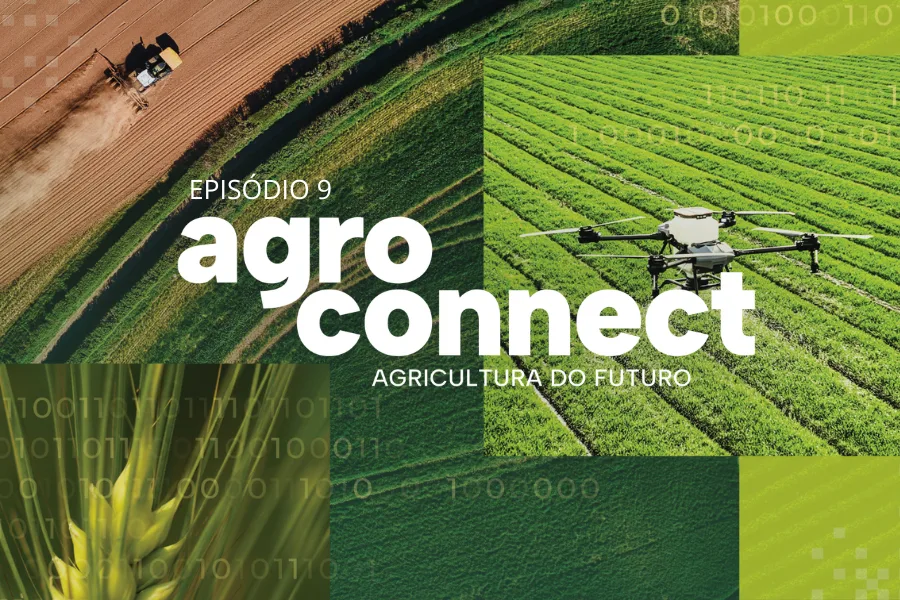 Internacionalização do agronegócio no espaço lusófono