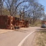 Caminhão boiadeiro tomba às margens de rodovia em Coxim