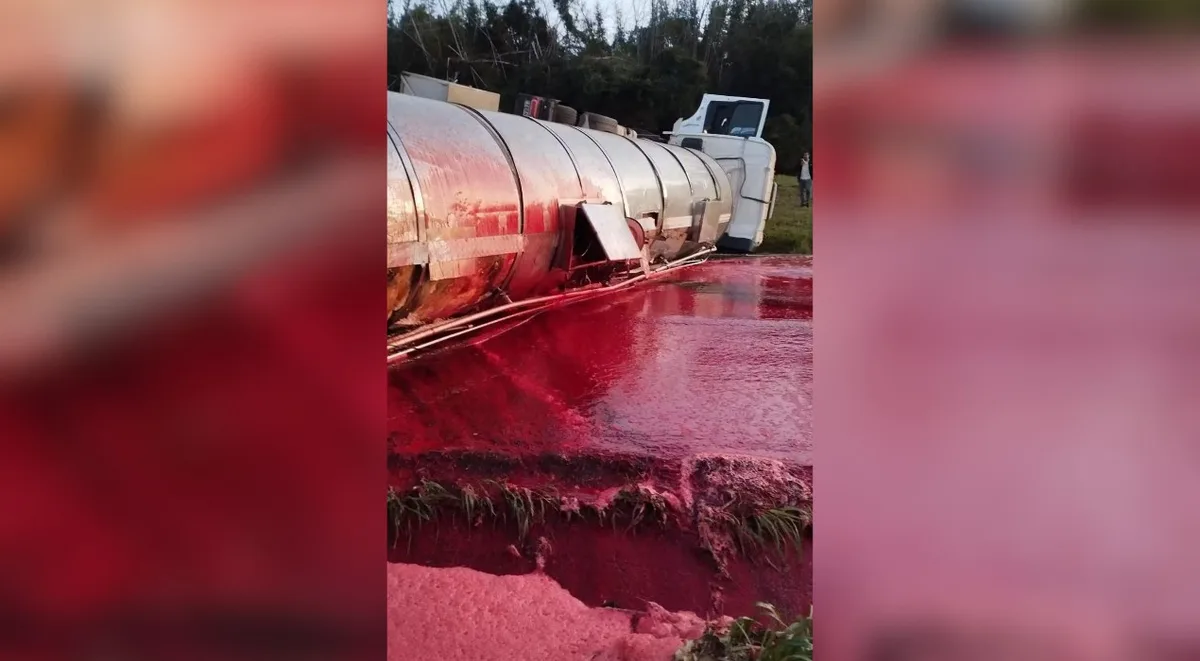 Carreta tomba, espalha sangue bovino na pista e trava Rodovia Marechal Rondon em Lençóis Paulista