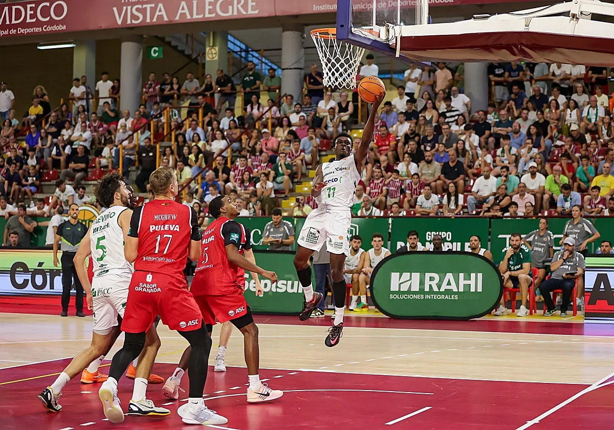 El Coto Córdoba arranca con derrota la Copa Andalucía con una exigente prueba ante el Covirán Granada (88-68)