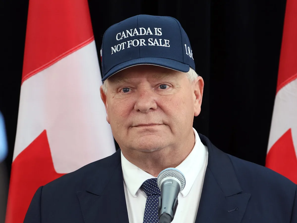 Canada could cut off electricity to the US, official says: 'Everything's on the table'
