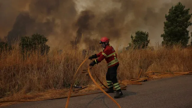 Fogo em Santo Tirso ativo com quatro frentes e várias "projeções"
