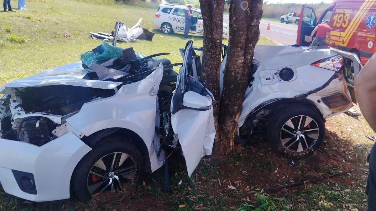Motorista morre ao bater veículo contra árvore em rodovia